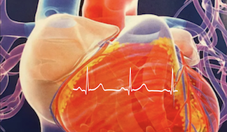 Cardiovascular_Medicine